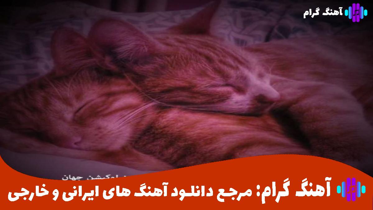 کاور آهنگ تو میدانی دل چیه اصلا دلت پی کیه از رامین تجنگی